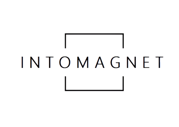 INTOMAGNET